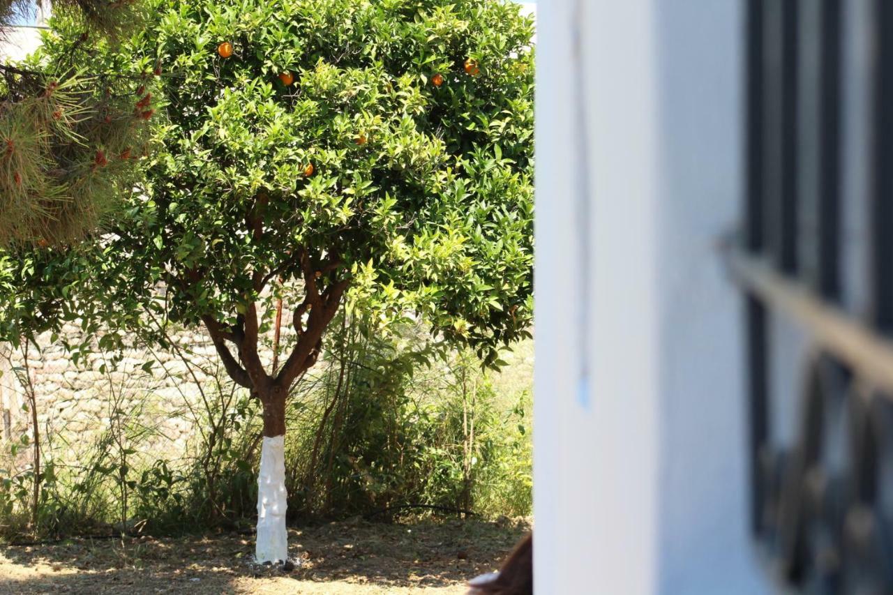 Orange Garden Villa Aígion Luaran gambar